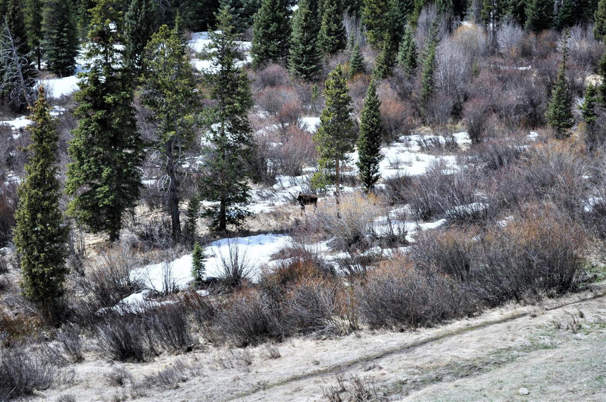 Forest Park 3 Bed 4 Bath Twnhm Htjm Silverthorne Kültér fotó